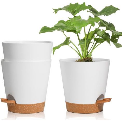 3 macetas blancas de 16,5 cm con sistema de autorriego para plantas de interior. (1/5)