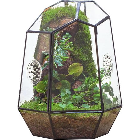 20x17,5x25 cm Enclos de Terrarium en Verre géométrique fermé avec Porte pour Cactus Succulents Petit Insectes, Décoration de Jardin d'intérieur