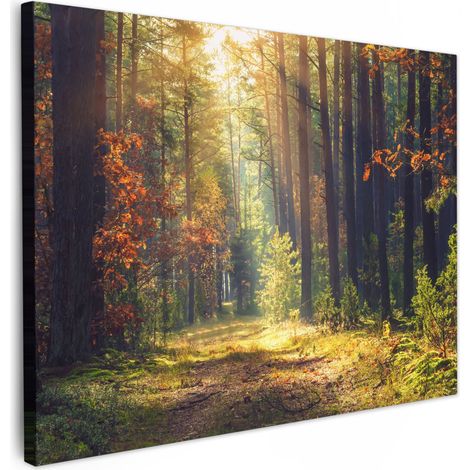 TABLEAU SUR TOILE Forêt - Automne - Arbres Décoration Murale 40x30 cm