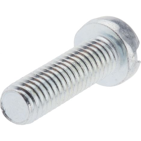 Vis à métaux RS PRO M6 à tête Cylindrique fendue en Acier, 20mm ( Prix pour Sachet de 100 ) (1/2)
