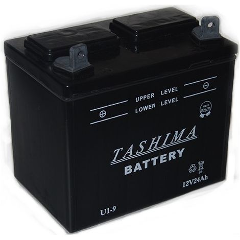 Batterie plomb 12V 24Ah pour tondeuse autoportée – Longueur 195mm, largeur 130mm, hauteur 185mm – Livrée sans acide