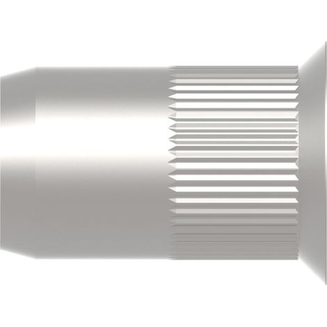 Gesipa 1455371 Blindnietmutter M8 100 St. (1/5)