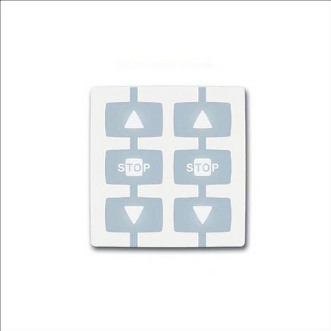 Modulo telecomando per 2 automatismi 433.92MHz rolling code NICE WAY WM002G (1/3)