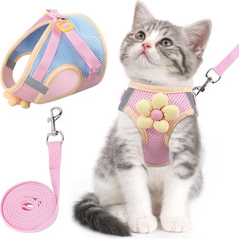 Laisse et Harnais pour Chien - Maille Respirante - Bande Réfléchissante - Ajustable - Pour Chiens et Chats de Petite Taille - 1 Pièce (1/5)