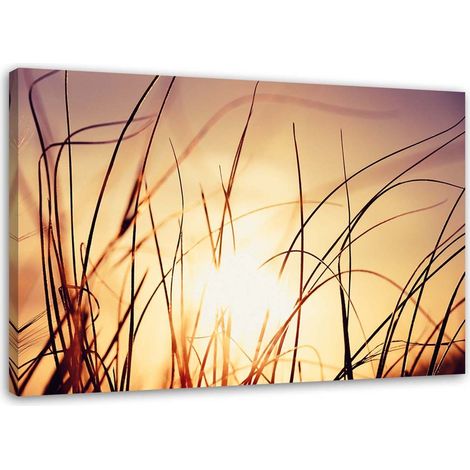 Tableau sur toile Coucher de soleil Nature Herbe Plantes 60x40 (1/5)