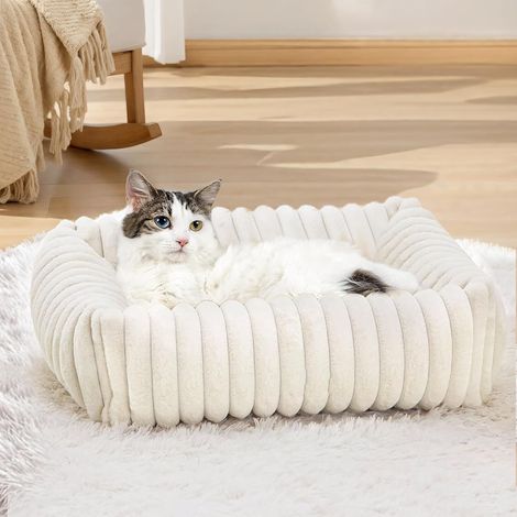 Cuccia per gatti soffice e lavabile 50x48x15 cm, morbida e calda cuccia per gatti e cani di piccola taglia, letto ortopedico e coccoloso bianco (1/5)