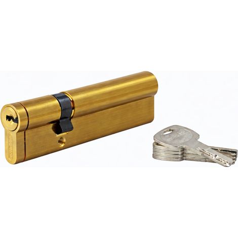 THIRARD - Lot de 10 cylindres Transit 1 30x60mm, laitonné, 5 clés - THIRARD (1/2)