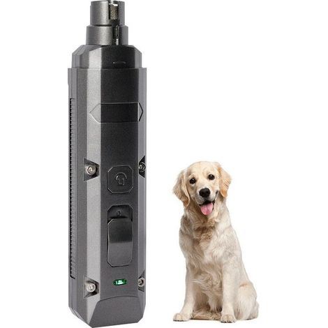 Lime à ongles électrique pour chiens, pour un entretien progressif des griffes à domicile.-AquaForge (1/5)