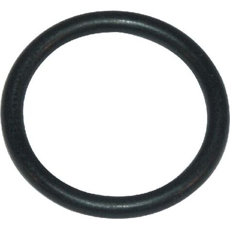 O-Ring PEERLESS P788051A (1/2)