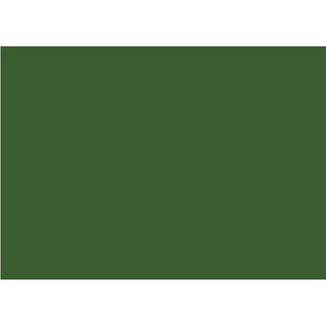Smalto nitro lucido gradazioni verde 0.9kg e 4.5kg vernice base solvente River - 4,5 Kg - RAL 6002 Verde foglia