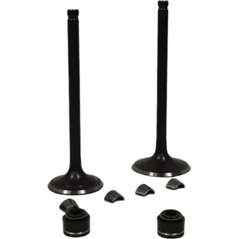 Les soupapes du moteur de la moto sont équipées de joints d'huile RATO VORTX250 CPS250 RBT250 RW172FMM, qui empêchent l'huile moteur de pénétrer dans la chambre de combustion. (1/3)