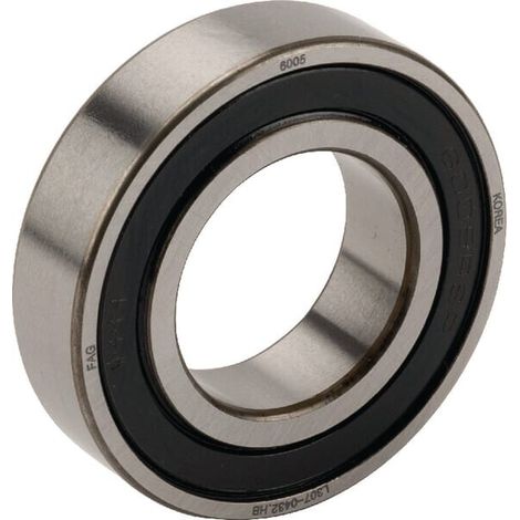 Rodamientos de bolas estriados FFAG INA 6005RSR