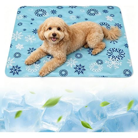 Tapis Rafraîchissant pour Chat et Petit Chien 50x60cm Gel Auto-Refroidissant (1/5)