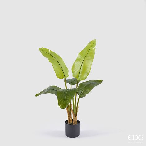 EDG Enzo De Gasperi Banano con Vaso Pianta Artificiale H 90 Cm Verde