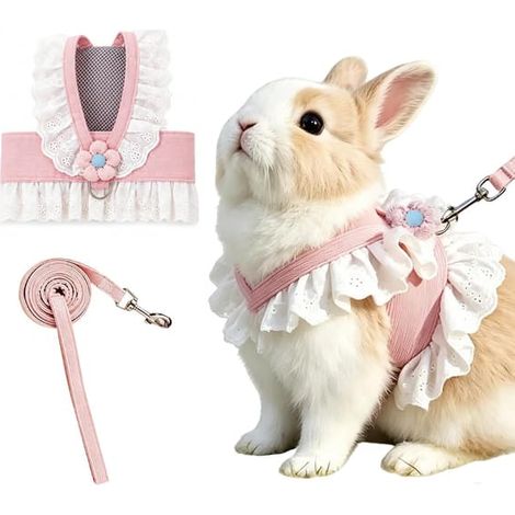 Ensemble harnais et laisse pour lapin, gilet pour lapin orné de fleurs mignonnes et de dentelle à volants, harnais et laisse réglables et respirants. (1/3)