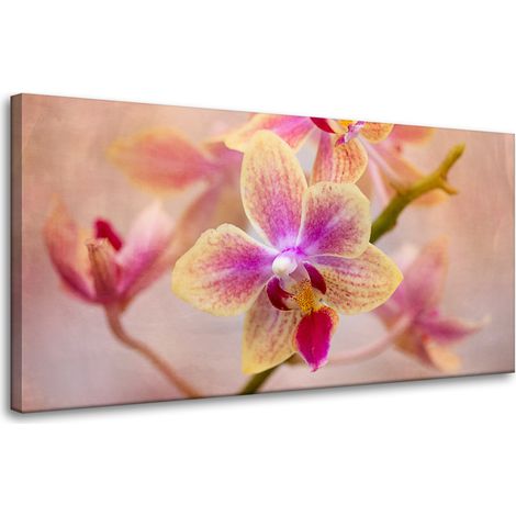 Leinwanddruck Botanik Blume Orchidee 80x40 cm