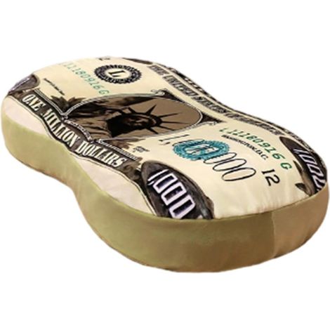 Oreiller en mousse confortable de style rustique pour argent 33 x 22,9 cm – Billets d'argent amusants, oreiller lombaire, des centaines de dollars pour le lit, le canapé, le canapé, la m (1/5)