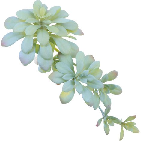 Plante Succulente Artificielle Décorative Finition Soignée en Plastique Vert Rotin pour Décoration Intérieure et Composition de Fleur (1/5)