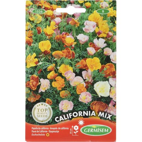 Graines Pavot de Californie CALIFORNIA MIX (1/5)