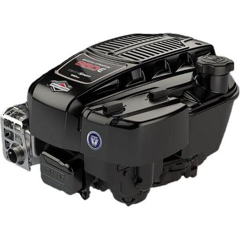 Moteur BRIGGS & STRATTON 123P020056H5
