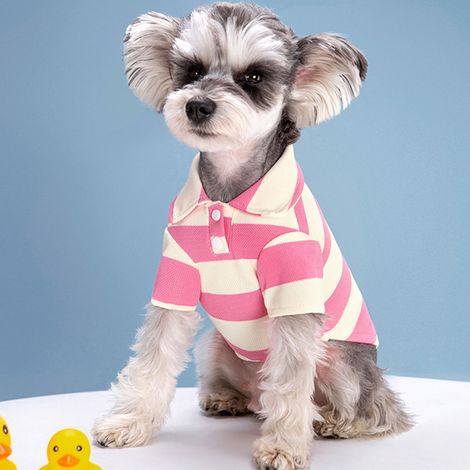 vêtement pour chien - Rayures d'été - Vêtements fins pour animaux - Convient aux chiens bipèdes de type Teddy, Bichon, Poméranien, Bouledogue français et Chat (1/3)