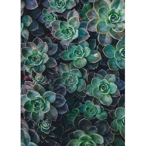 Tableau fleuri plante verte pour déco salon moderne | Tableau vert pour couloir | Tableau sur toile nature idéal chambre - 0,5 x 0,7 m (1/2)