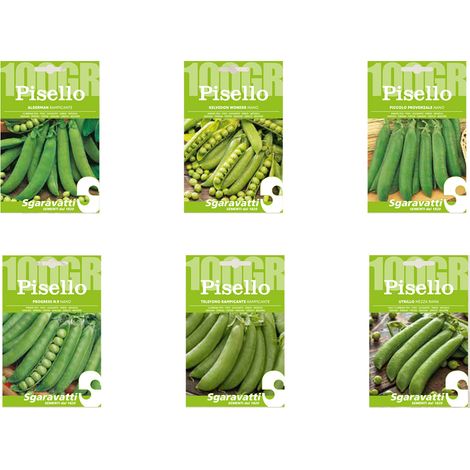 SEMI PER FAVE pisello progress (nano) n.9 - gr 100 pisello progress (nano) n.9 - gr 100