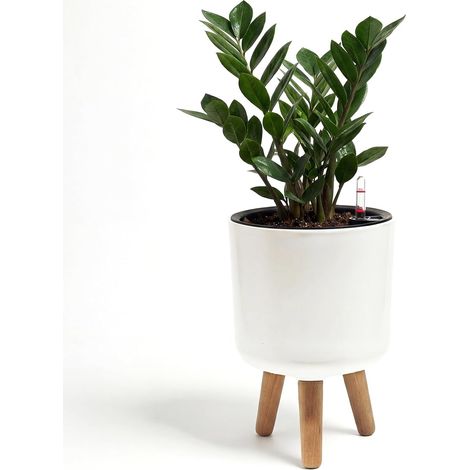 Pots de Fleurs d'intérieur avec Support pour Plantes, Pot Auto-arrosant de 18,8 cm avec Pieds en Bois Amovibles et indicateur de Niveau d'eau, Pot de Fleurs Moderne avec Pot intérieur