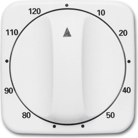Cache minuterie busch-jaeger 1771-214-103 fixation 6x6 cm