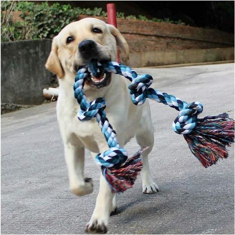 Jouets de corde de chien pour les grands chiens de mastication agressifs forts, jouets durables de formation de mastication de chien remorqueur de corde pour les mâcheurs agressifs (1/5)