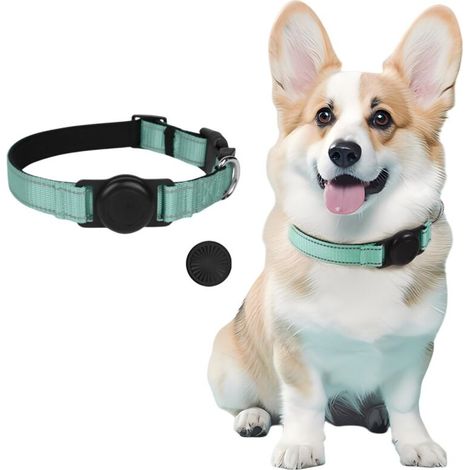 Collare GPS per cani