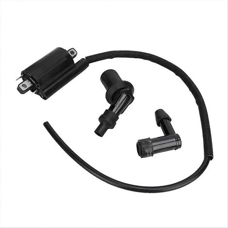 Bobine d'allumage AM120732 pour Kawasaki FD440V, FD501D, FD501V et FD590V (1/5)