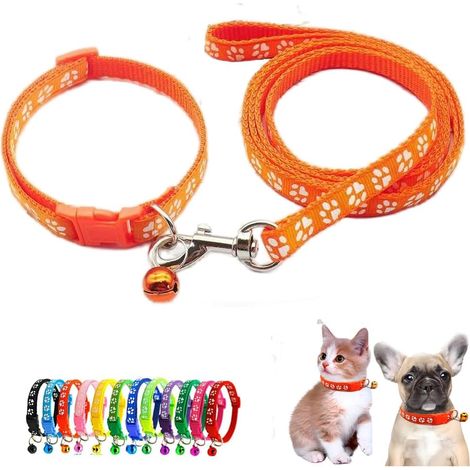 Ensemble collier et laisse avec clochette pour petit chien, collier réfléchissant basique en nylon pour chienne avec motif d'empreintes de pattes. (1/3)