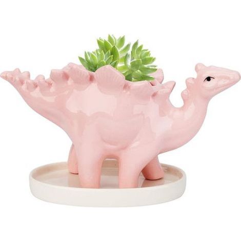 Succulente Céramique Pot, Dinosaure Plante Pot, Cactus Pots de Fleurs avec Soucoupe, Mini Intérieur Pot de Céramique Mignon Animal (1/4)