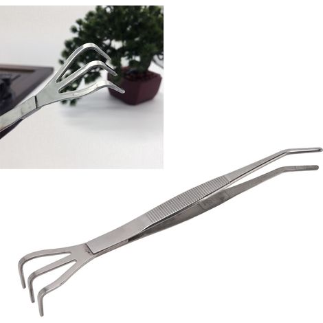 Pince à épiler en acier inoxydable pour bonsaï, pince à épiler pour plantation et rempotage de plantes succulentes (courbe) (1/5)