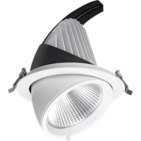 Spot LED escargot COB 40W encastrable orientable Transfo EAGLERISE Température de Couleur: Blanc neutre 4000K (1/4)