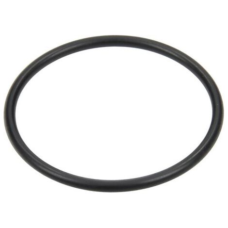O-Ring 40,95x2,62 ANNOVI REVERBERI 620210