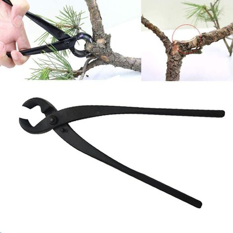 Sécateur à Bonsaï Tête Ronde - Outil de Jardinage pour Taille Précise