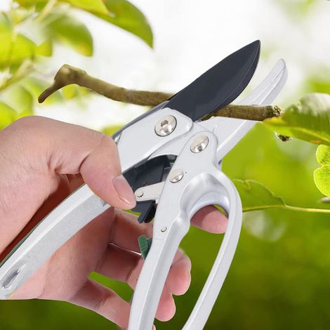 SK5 Gartenschere mit Seilzug und abnehmbarem Handschutz für müheloses Beschneiden von Obstbäumen (1/5)