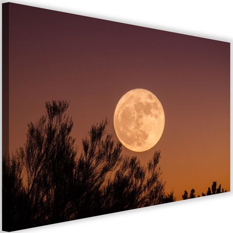 Tableau sur toile Lune derrière l'arbre 60x40 (1/5)