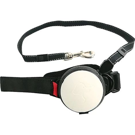 Filiyano-Laisse rétractable mains libres pour chien et chat /EA/