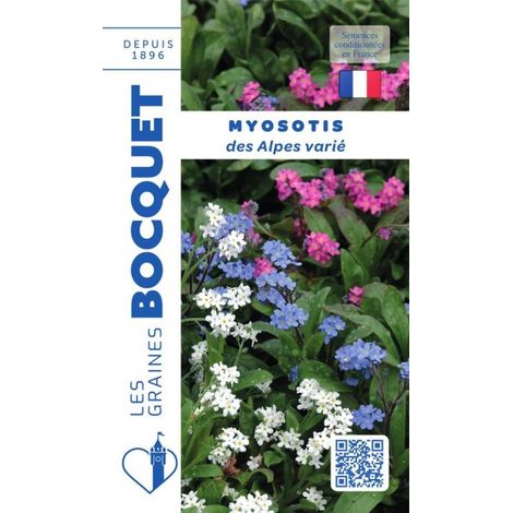 Myosotis des Alpes varié - 0,5g