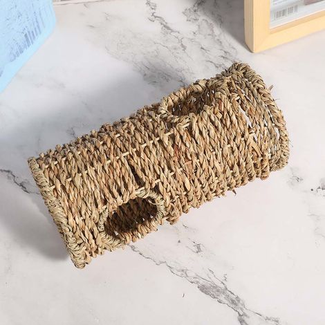 Tunnel d'été respirant pour hamsters, écureuils et chinchillas - Accessoire pour maison d'animaux de compagnie (1/5)