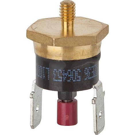 Securite thermique Gaz pour BUDERUS 7101094