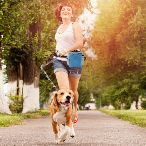 Pochette à friandises pour chien, sac à friandises pour l'éducation des chiens de toutes tailles, transporte facilement jouets, croquettes et friandises, distributeur de sacs à déjections canines inté (1/5)