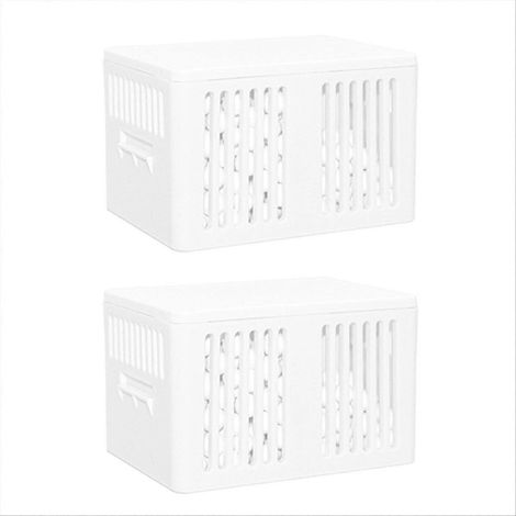 Ion argent module pour vacuum réservoir eau libération lente 2 pièces (1/5)
