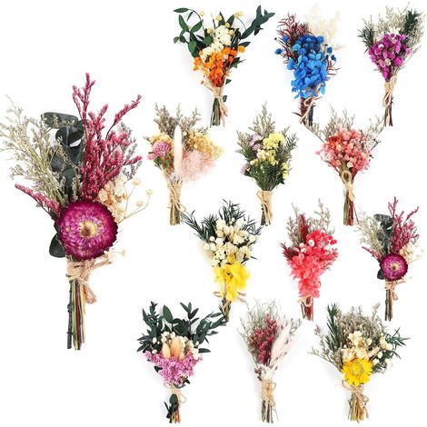 12Pcs Mini Bouquet de Fleurs Séchées Colorées Mini Bouquet Fleurs Séchées Naturelles Fleur Sechees Decoration avec Tige pour DIY Photo Photographie Prop Vase Mariage Party Home Décoration (1/5)