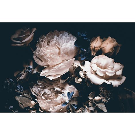 Papier peint panoramique - Pivoines - 130 cm x 87 cm (1/2)