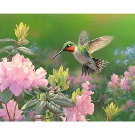 Pintura por números - Colibrí de 40x50 cm