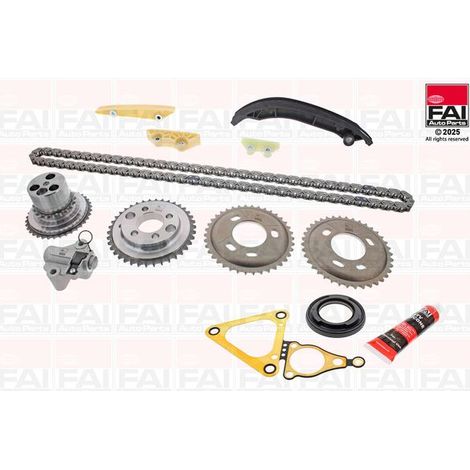Kit de distribution par chaîne FAI AutoParts TCK138 LAND ROVER 1372841 1704089